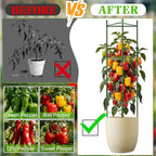 3 Pack Pepper Cages for Garden, 48" Adjustable 1–3 Tier Pepper Plant Support, Heavy Duty Steel Pepper Cage, Rust-Resistant Triangle Frame for Grow Bags, Patio & Raised Beds, Tomato Cage Alternative
