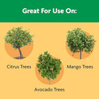 Miracle-Gro Shake 'N Feed Continuous Release Citrus, Avocado & Mango Plant Food, 4.5 lb.