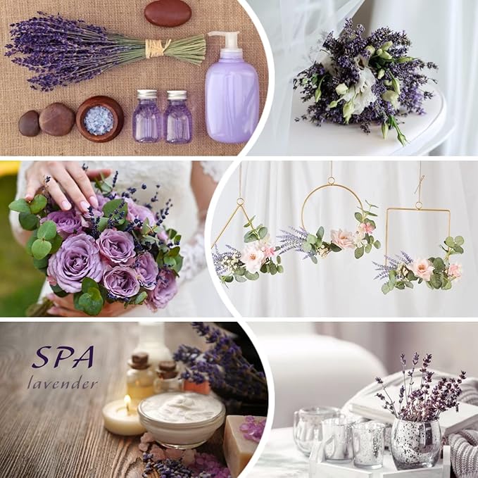 Dried Preserved Lavender Flowers Bundle-Natural Dried Lavender Bouquet 180-200 Stems 15''-17" for Wedding Home Shower Vase Decor, Aromatherapy, Fragrance, Fresh, Dry, 2 Packs