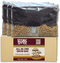 5 lb All-in-One Mushroom Grow Bag - 3 Pack