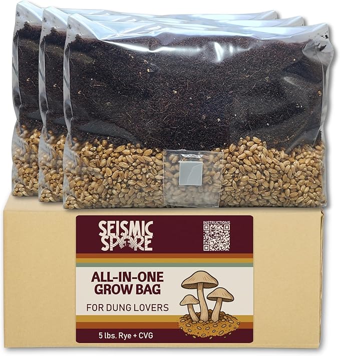 5 lb All-in-One Mushroom Grow Bag - 3 Pack