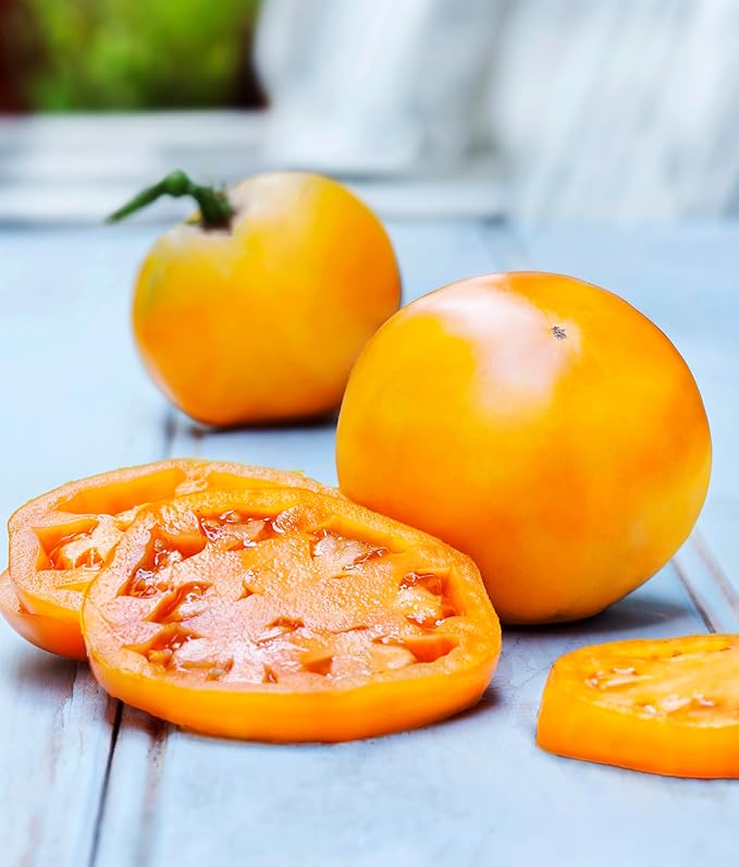 Bonnie Plants Golden Jubilee Heirloom Tomato, Live Plant, 19.3 oz., 4-Pack