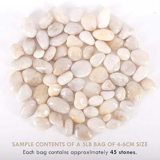 5 lbs Approx. 45 White River Rocks Stones for Plants Pebbles for Indoor Plants | Aquarium Fish Tank Rocks | Polished Decorative Rocks for Vases (1.6-2.4 Inches)