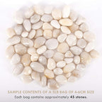 5 lbs Approx. 45 White River Rocks Stones for Plants Pebbles for Indoor Plants | Aquarium Fish Tank Rocks | Polished Decorative Rocks for Vases (1.6-2.4 Inches)