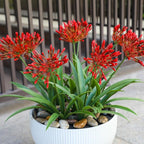 Artificial Flowers for Outdoors 18.9 in Large Fake Plants Outdoor Flower Spring Summer Decoration Outside for Front Porch Garden Window Box