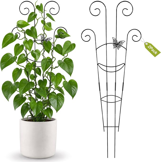 2 Pcs 30'' Monstera Plant Support Stakes, Metal Garden Trellis for Potted Plants Outdoor, Tall Expandable Houseplant Climber Trellis with Butterfly Design for Ivy Hoya Vin (Black)