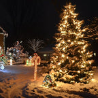 ASENEK 99FT 300 LED Christmas String Lights End-to-End Plug 8 Modes Indoor Lights with Timer, Outdoor Indoor Fairy Lights Christmas Tree Patio Garden Holiday Warm White