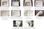 FLTRGO Hydroponics Growing System,Indoor herb Garden,hydroponic Growing Kits & Systems,Vegetables hydroponic Grow kit,with Hydrating Pump, Adapter, Net Pots.