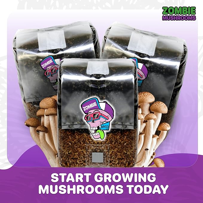 All-in-One Mushroom Grow Kit (6-Pack) – 3lb Mini Bags with Sterilized Grain and CVG Substrate, Injection Ports Included, for Growing Mushrooms at Home (Spores Not Included)