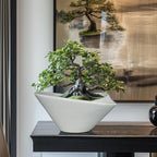 Bonsai Pots 13 Inch - Ceramic Succulent Pots with Drainage Hole Decorative Plant Pot Indoor Large Outdoor Planter Modern Flower Pot for Home Garden Office Room Decor Gray