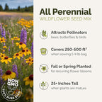 Eden Brothers All Perennial Wildflower Mixed Seeds for Planting, 1/4 lb, 120,000+ Seeds with Lupine, Shasta Daisy | Attracts Pollinators, Plant in Spring or Fall, Zones 3, 4, 5, 6, 7, 8, 9, 10