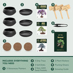 Garden Republic Bonsai Tree Kit - Mini Bonsai Seeds, 3 Types with Stylish Stone Pots, Pruning Shears Tool, Plant Markers, Wood Gift Box, and Potting Soil