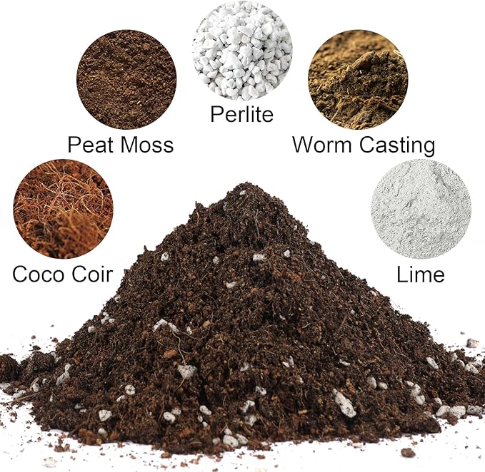 Potting Soil Mix 2qt for Indoor Plants, Organic Houseplant Soil Well Draining Dirt Ready to Use, Fit for House Plant Like Pothos, Philodendron, Monstera, African Violet