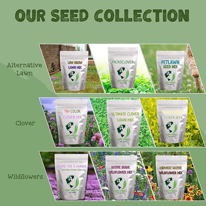 Earthwise Shady Native Wildflower Seed Mix – Shade Tolerant, Pollinator Friendly, Low Maintenance, Organic, Chemical-Free, Pet Safe, Moisture Adaptable, Non-GMO – Covers Up to 375 sq ft, 1/2 lb