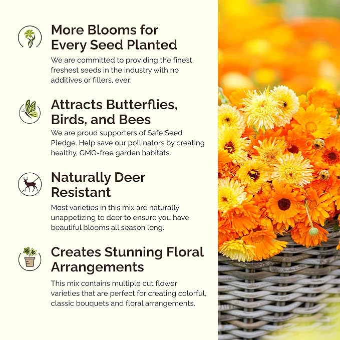 Eden Brothers Partial Shade Wildflower Mixed Seeds for Planting, 1/4 lb, 120,000+ Seeds with Sweet William, Foxglove | Attracts Pollinators, Plant in Spring or Fall, Zones 3, 4, 5, 6, 7, 8, 9, 10