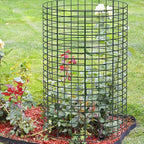 15 Pcs Large Wire Plant Protector from Animals, 5 Sets 24" H X 12" Dia Metal Plant Cage Chicken Wire Cloche Pack with Ground Stakes and Nylon Tie to Keep Animals Out, Garden Protection Bunny Barricade