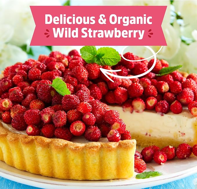 Back to The Roots Organic Strawberry Grow Kit — Grows Year Round, Includes Everything Needed for Planting