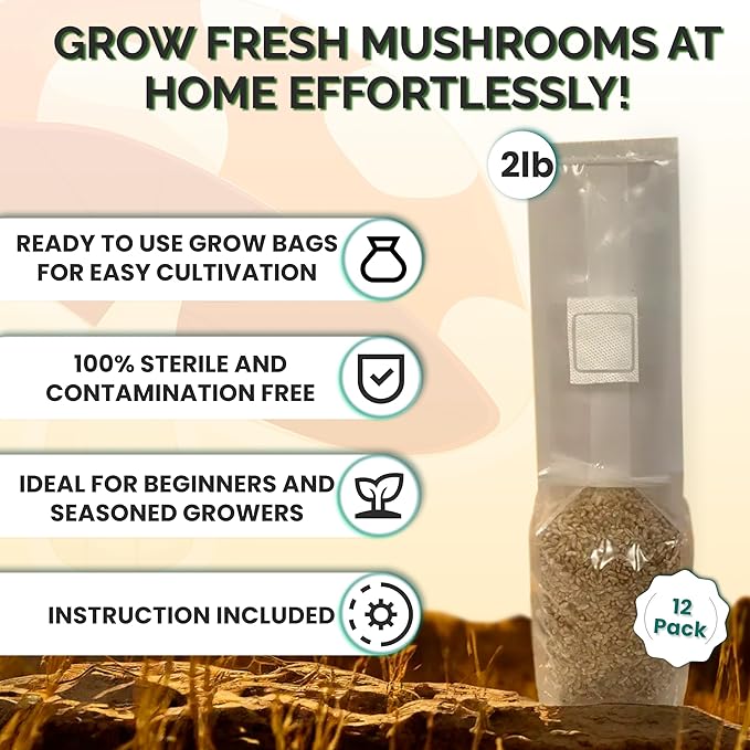 MycoHaus Mushroom Growing Kit | Sterilized Rye Grain | Magic Indoor Grow Bags for Mushrooms | Shroom Home Cultivation Magic Supplies | Without Spores | Without Injection Ports | 2 Pound (12 Pack)