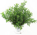 Proven Winners - Deutzia Yuki Snowflake (Yuki Snowflake Deutzia) Shrub, white flowers, #2 - Size Container