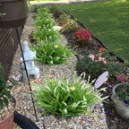 16 Bundles Artificial Outdoor Plants and 2 Pcs Butterfly Stakes Fake Monkey Grass with Flowers UV Resistant Faux Plant Greenery for Outside Planter Porch Patio Garden Window (White)