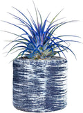 Air Plants - Tillandsia Ionantha - Organically Enhanced Color - Live Arrival Guaranteed - House Plants for Home Decor & Gift (Blue Bell 1Pk + Barrel)