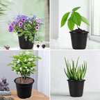 Augshy 150 Pcs 4" Black Plastic Plants Nursery Pot,Seed Starting Pots