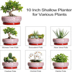 Bonsai Pots 10 Inch - Ceramic Succulent Planters for Indoor Plants Outdoor, Succulent Pots with Drainage Hole and Tray, Round Shallow Planter, Bonsai Planter, Home Decor, Gardening Gift, Red