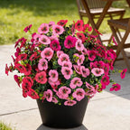 17 Inch Artificial Faux Pansy Flowers for Outdoor,Fake Pansies Flowers with Eucalyptus Leaves Fake Plants Greenery Boxwood Porch Patio Decor 6 Bundles(Pink,Dark Rose,Rose Red)