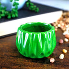 Live Lucky Bamboo 2 Stalk Love Arrangement in Round Green Ceramic Planter - 4 and 6 Inches Lucky Bamboo Indoor Potted House Plant for Home and Office Decor