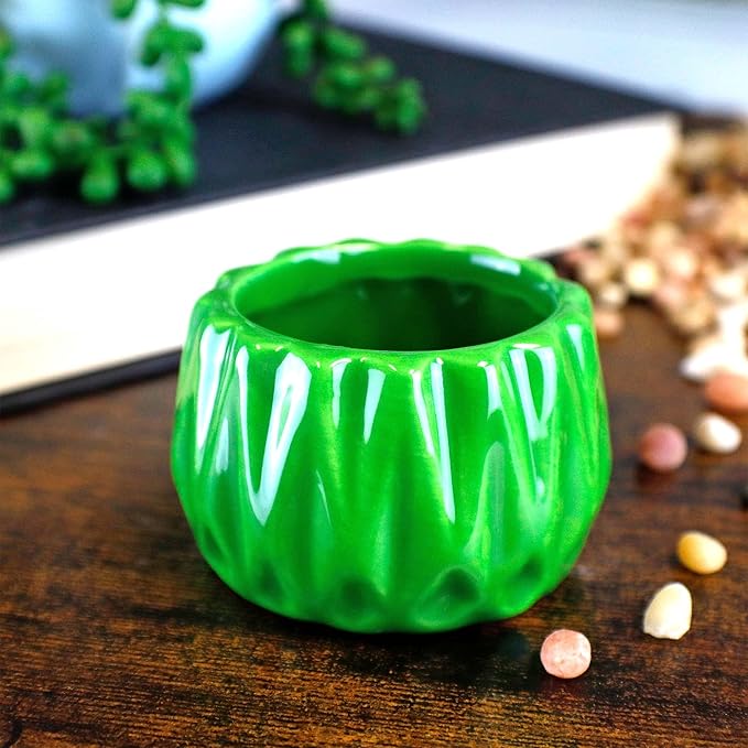 Live Lucky Bamboo 2 Stalk Love Arrangement in Round Green Ceramic Planter - 4 and 6 Inches Lucky Bamboo Indoor Potted House Plant for Home and Office Decor