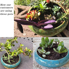 ARTKETTY Succulent Pots - 10 Inch Large Ceramic Bonsai Pots with Drainage Stand for Indoor Plants Shallow Planters Decorative Cactus Flower Plant Container Bowl