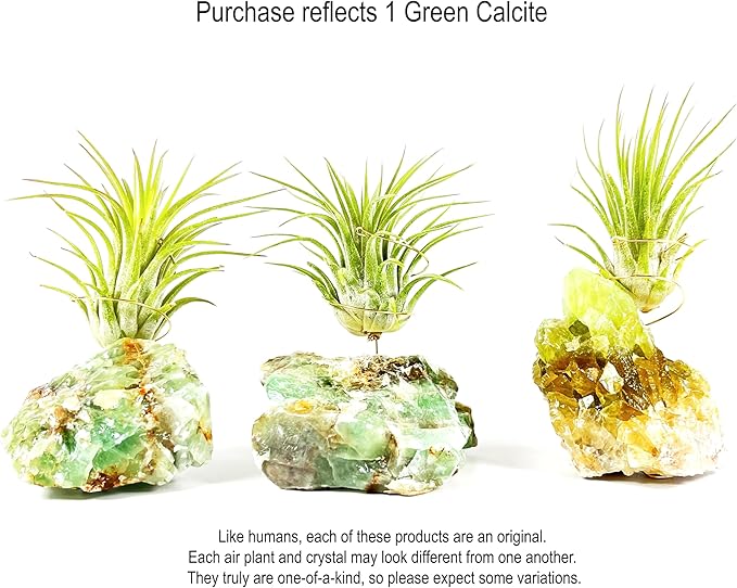 Small Green Calcite Geode Crystal Air Plant Holder Includes Healthy Live Air Plant Gift Box - Zen Plant Decor for Crystal and Plant Lovers