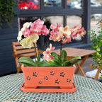 12 * 6.3 * 5.3 Inch Rectangle Ceramic Orchid Pot with Holes & Saucer - Red Effective Drainage & Ventilation for Indoor Orchids