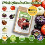12-Pod Tomato Seed Kit Compatible with All Hydroponics, 6 Pack Varieties: Cherry Tomato, Beefsteak, Black Cherry, Cherokee Purple, Sweet Million, Brandywine, Easy to Grow, High Germination