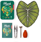 Kikkerland Plant Care Kit