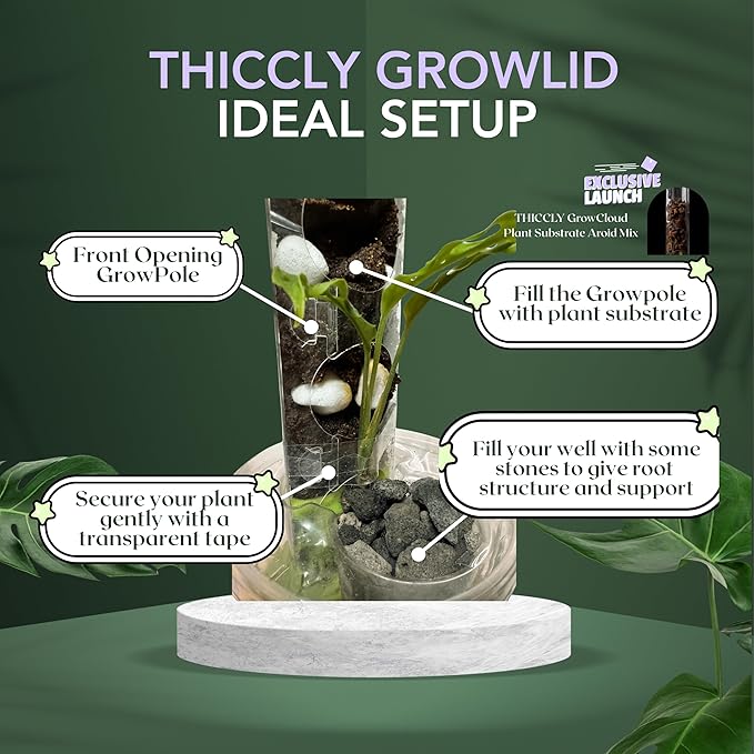 THICCLY Small GrowLid 10 Pcs (Clear) - Self Watering Clear D-Shaped Plastic Moss Pole Hydroponics Growing System Kratky Hydroponic Kit Moss Pole Monstera Plant Support Philodendron and Anthuriums