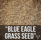 Crooked Bend Blue Eagle Kentucky Bluegrass Seed, 3LB, Uncoated & No Fill, Grow Full, Beautiful & Best Yards, Thicken Lawns & Turf, Growing Dark Green Organic Grass Carpet, Plants 580 Square feet