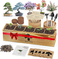 Bonsai Tree Kit for Beginners - 5 Unique Japanese Bonsai Seeds, DIY Indoor Gardening Crafts for Adults | Valentine's, Mother's Day & Birthday Gifts for Women and Men | Complete Starter Kit with Tools