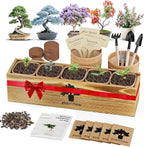 Bonsai Tree Kit for Beginners - 5 Unique Japanese Bonsai Seeds, DIY Indoor Gardening Crafts for Adults | Valentine's, Mother's Day & Birthday Gifts for Women and Men | Complete Starter Kit with Tools