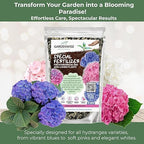 GARDENWISE Slow Release Hydrangea Fertilizer with Iron & Sulfur – Indoor & Outdoor Soil Acidifier for Miracle Growth (1 qt)