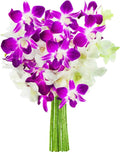 KaBloom PRIME NEXT DAY DELIVERY - Fall Collection - Exotic Opal Orchid Bouquet of Purple and White Orchids from Thailand|Gift for Birthday, Thank You, Valentine, Mother’s Day Fresh Flowers