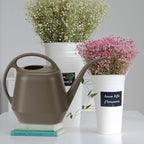 Fasmov Plastic Watering Can, 1-Gallon, Deep Gray