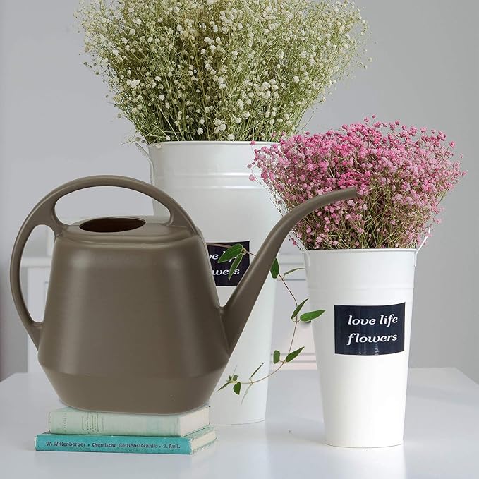 Fasmov Plastic Watering Can, 1-Gallon, Deep Gray