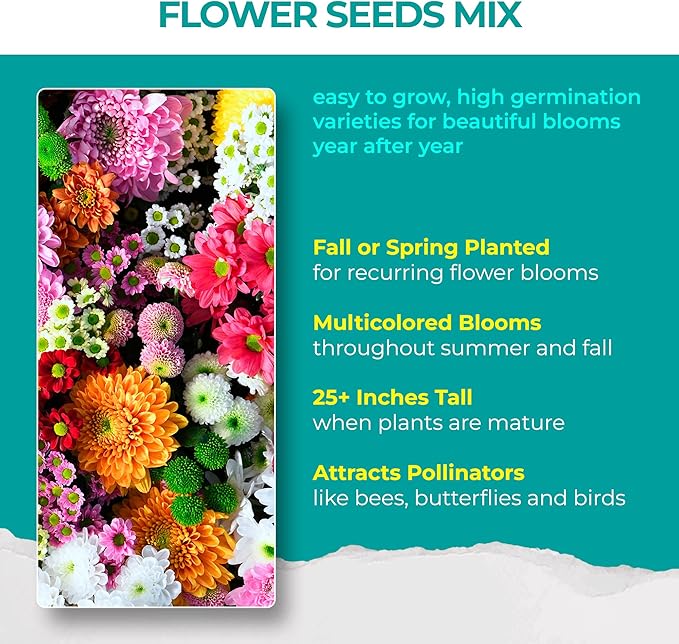 2200+ Mixed Flower Combo Seed Pack for Your Home Garden, 40+ Variety Flower, Including Petunia, Zinnia, Sunflower and More, Attracts Pollinators, Non- GMO and Heirloom