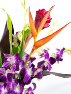 Fresh Orchids and Tropical Flower Bouquet, Purple Orchids, Red Ginger, Heliconia, Mixed Foliage, Hawaiian - PRIME QUALITY - Perfect for Birthdays, Valentine's Day, Mother's Day, Anniversaries, etc.