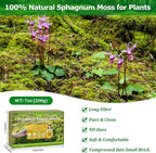 Legigo 7OZ Sphagnum Moss for Plants, 8QT Natural Orchid Moss Potting Mix Dired, Green Forest Plant Moss for Orchid Repotting Carnivorous Succulents Indoor Potted Plants Gardening and Reptiles