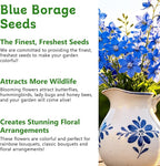 LUOJIBIE Borage Seeds, 4,000+ Blue Borage Seeds for Planting Outdoor & Indoor, Flower Seeds Bulk for Garden, Non-GMO & Heirloom, Easy to Grow