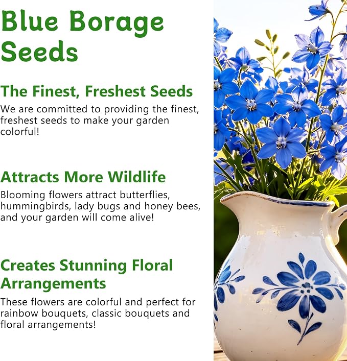 LUOJIBIE Borage Seeds, 4,000+ Blue Borage Seeds for Planting Outdoor & Indoor, Flower Seeds Bulk for Garden, Non-GMO & Heirloom, Easy to Grow
