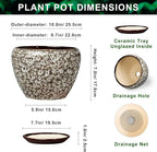 Ceramic Pots for Plants - 10 Inch Planters for Indoor Outdoor Plants, Decorative Plant Pots with Drainage Hole and Saucer, Large Plant Pot, Living Room Decor, Gardening Gifts, White Leopard