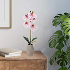Mikasa Artificial Orchid in Pot, Real Touch Phalaenopsis Orchid, Embossed Weave Cement Pot, 16-Inch Single Branch, Watercolor Pink